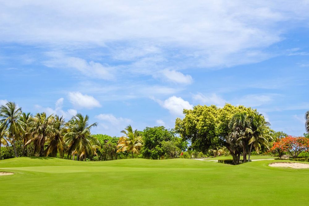 Fairway du golf de Cocotal bordé de palmiers